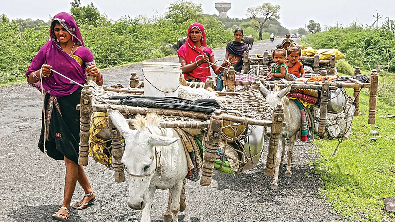 Tribals