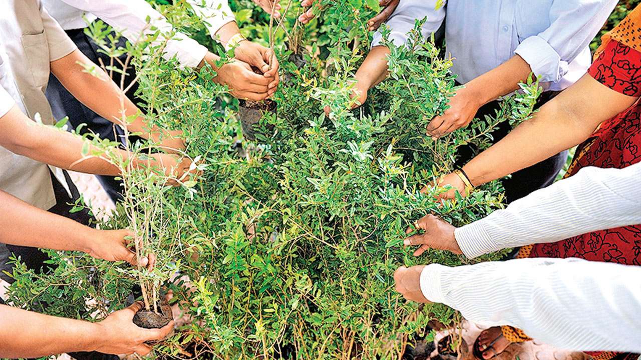 Environment & health