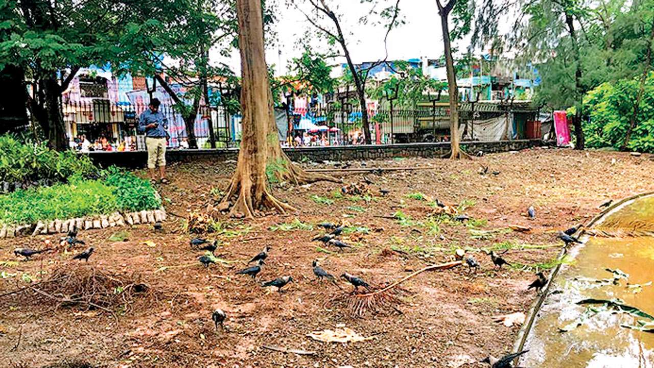 Colaba Woods Park
