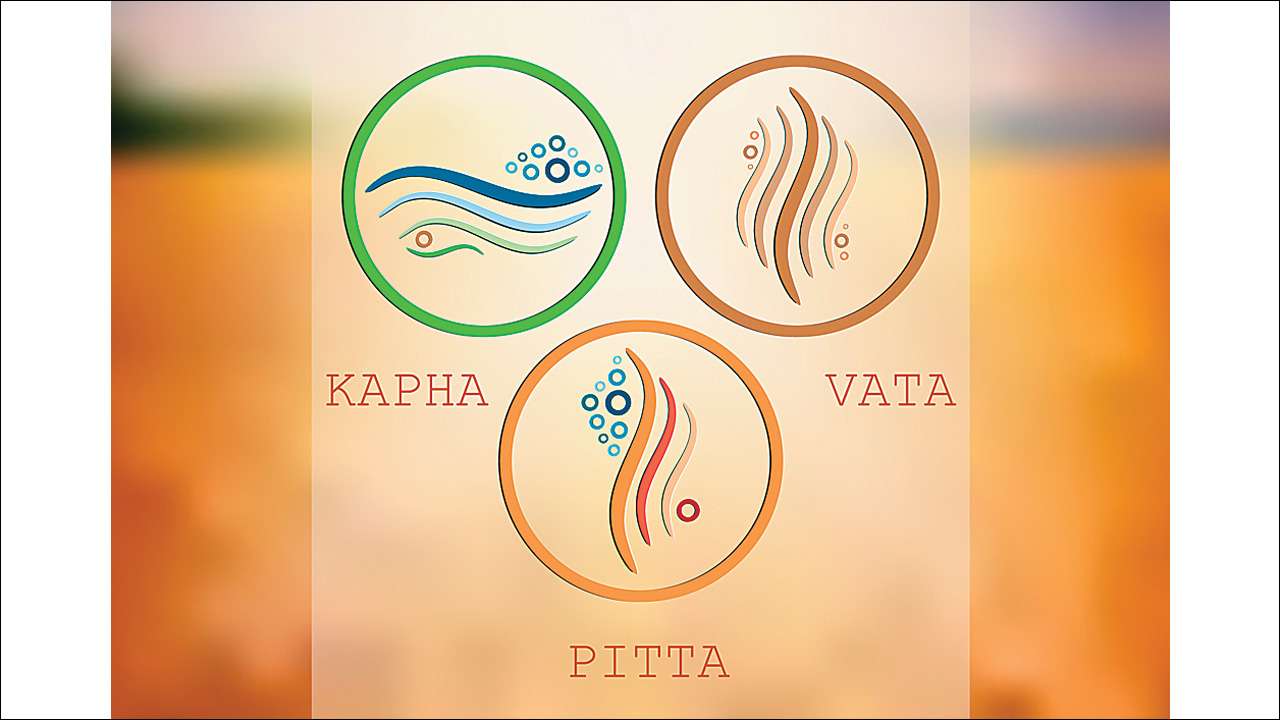 How to tell if you are vata pitta or kapha Understanding Vata Pitta Kapha Gynoveda