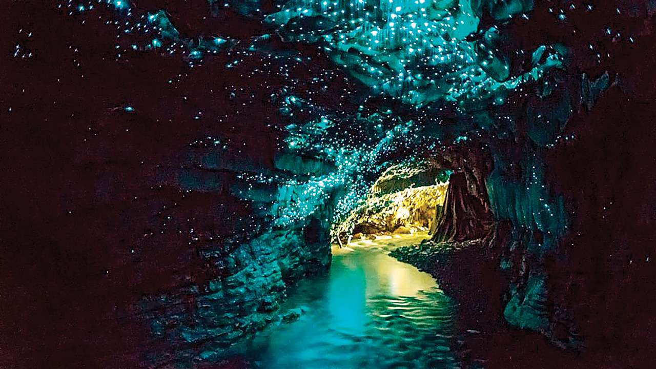 WAITOMO GLOWWORM CAVES, New Zealand