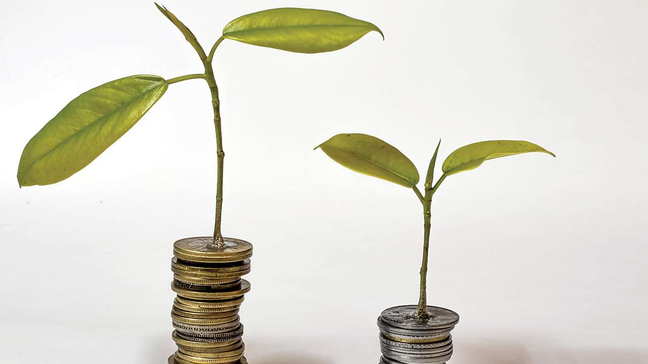 Mutual fund investments