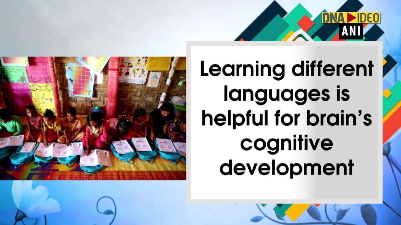 Learning different languages good for brain's cognitive development ...