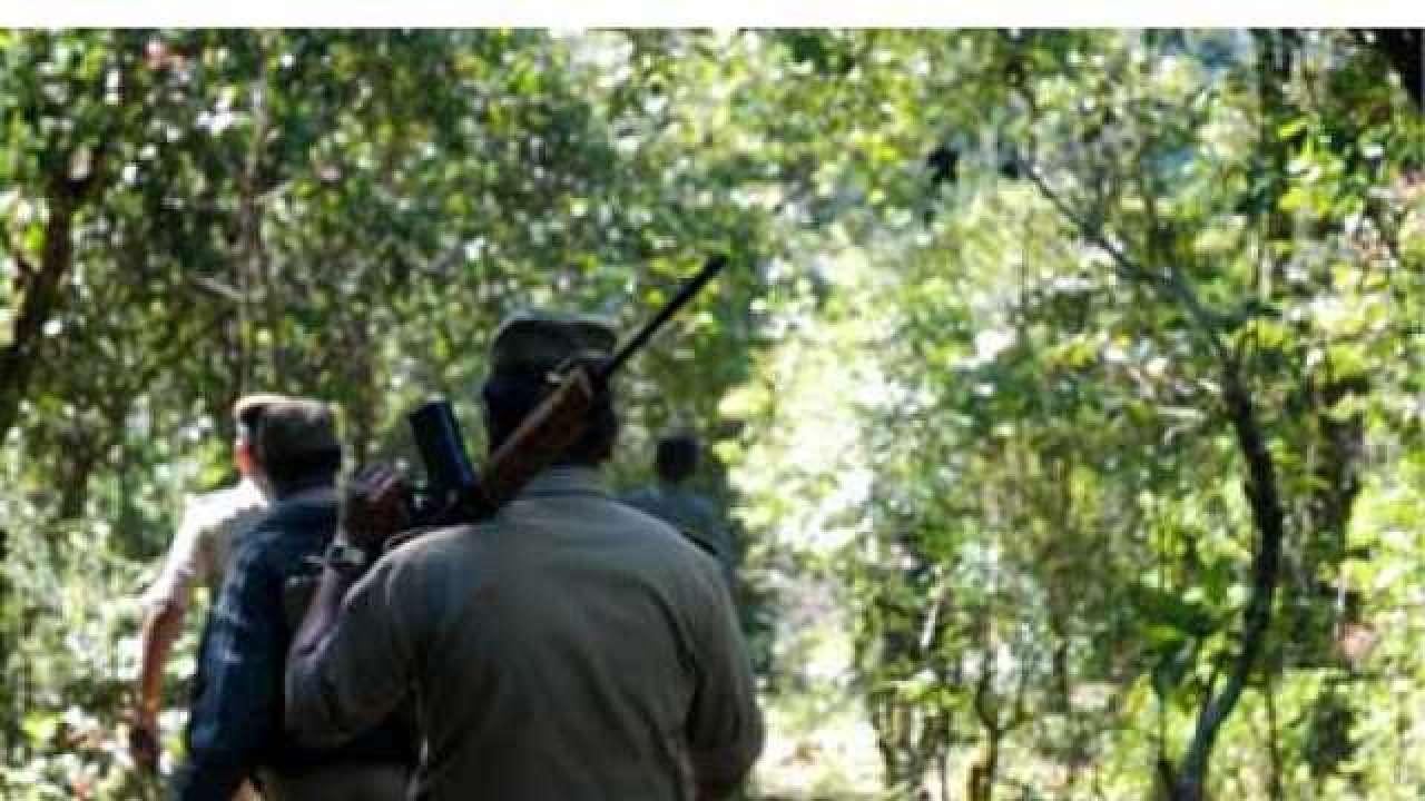 MP: Dacoit Babli Kol who carried cash prize of Rs 7 lakh killed in police encounter