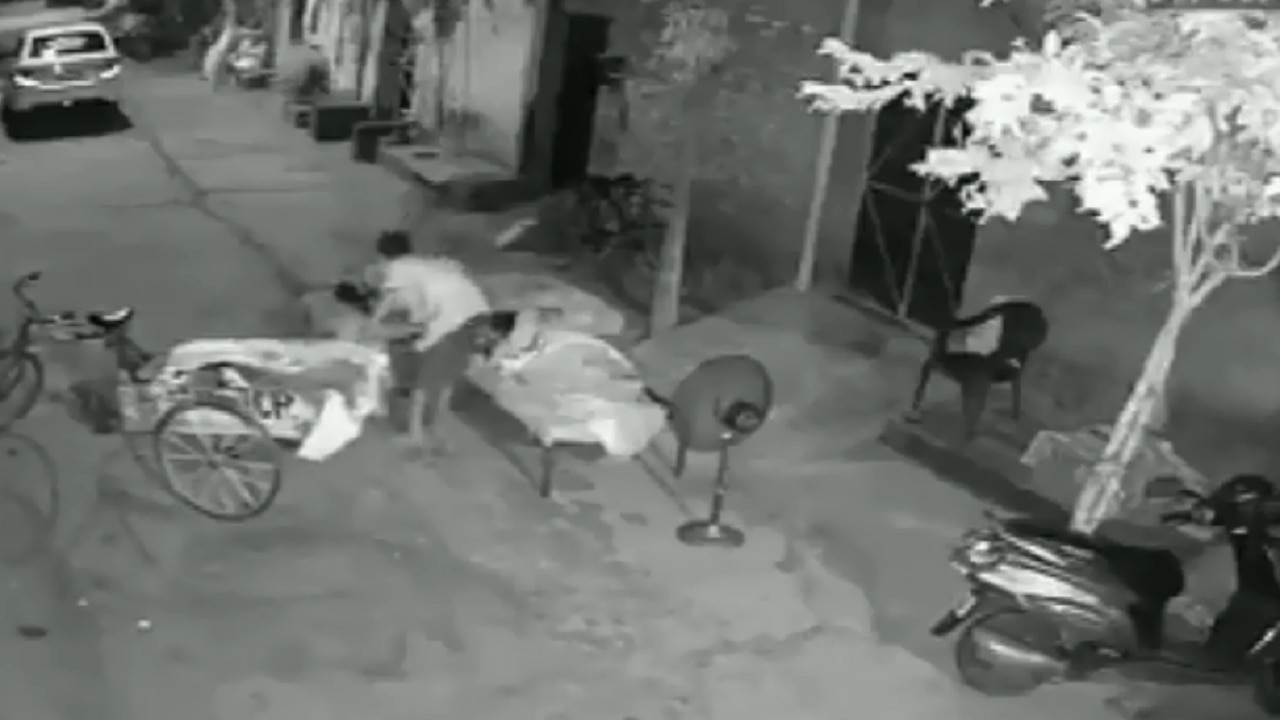 Photo: ANI video grab