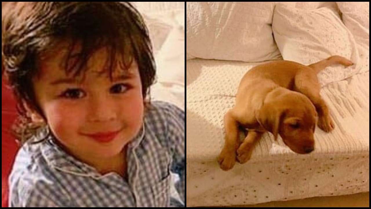 Taimur Ali Khan smiling as he sits besides puppy is cutest thing ...