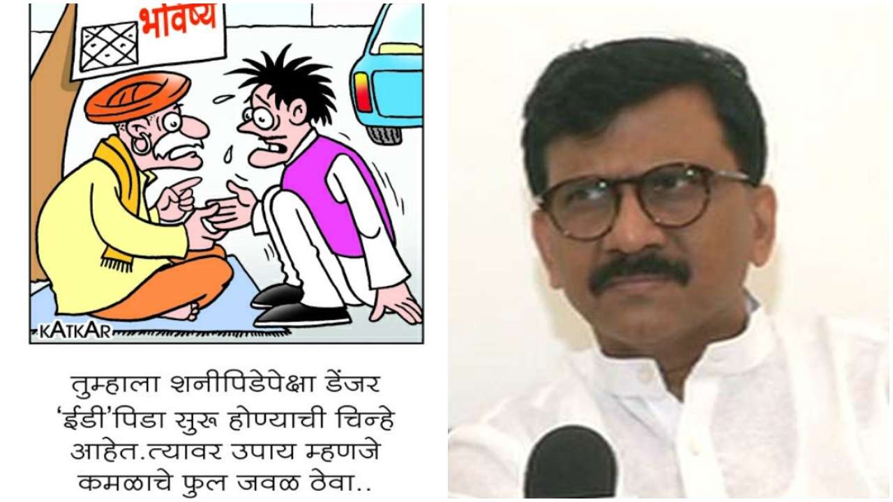 Shiv Sena MP Sanjay Raut shares cartoon mocking ED as he meets Sharad Pawar