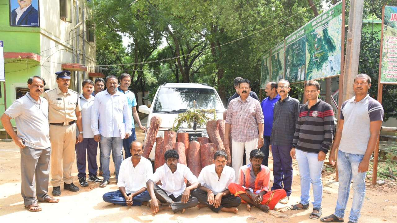Andhra Pradesh Red Sandalwood Smugglers Get Caught During 5th Attempt In Same Vehicle