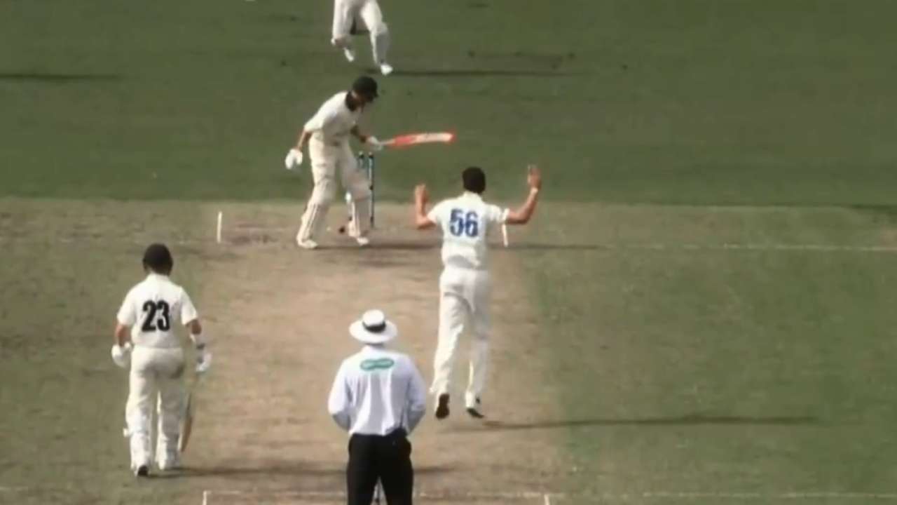 'What kind of sorcery is this?' WATCH Mitchell Starc dismissing batsman ...