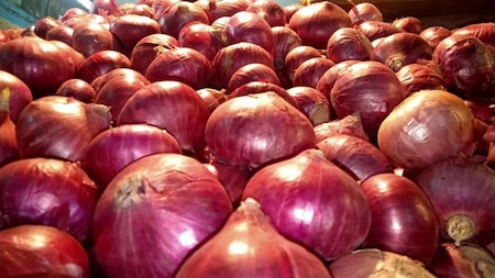 Govt to import onions from Egypt, Turkey