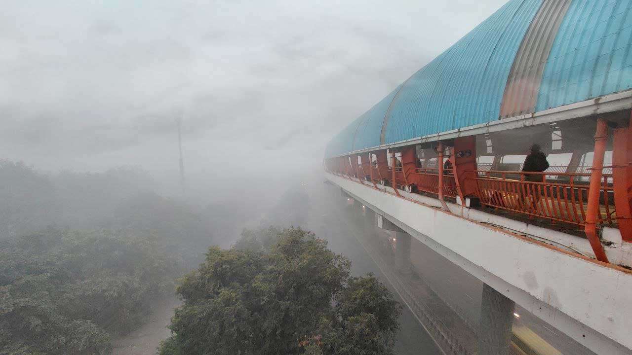 Dense Fog Engulfs Delhi-NCR, Flights, Trains Affected