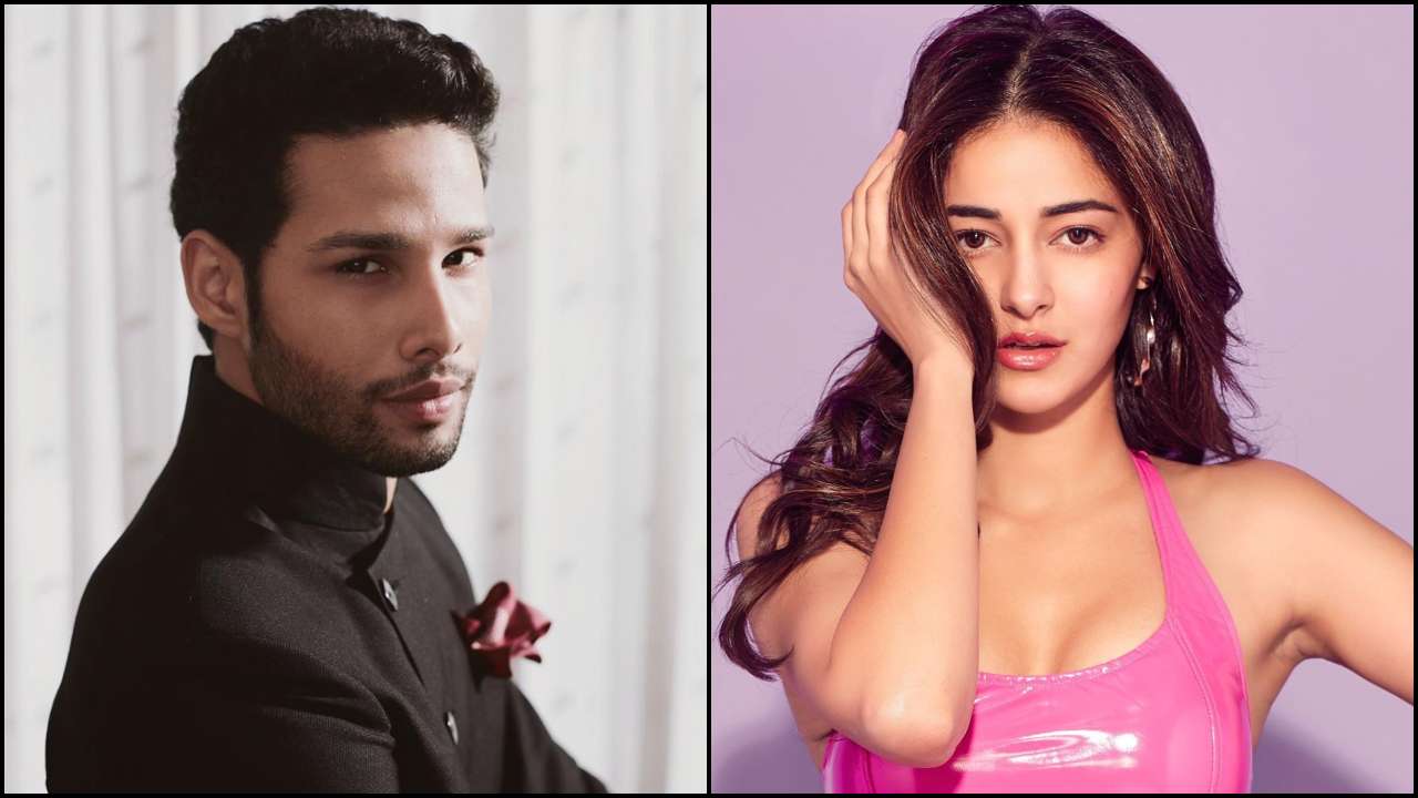 Sidhant Chaturvedi's reply to Ananya Panday's 'my dad never went on Koffee With Karan' statement wins the internet today