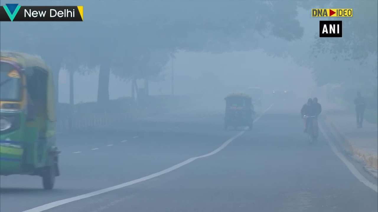 Cold waves dense fog grip Delhi