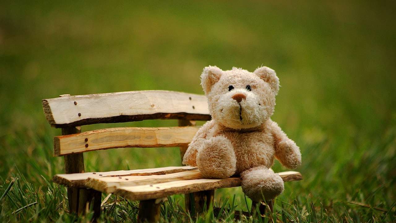 Teddy Day 2020: Best messages, SMS, WhatsApp to send your special one