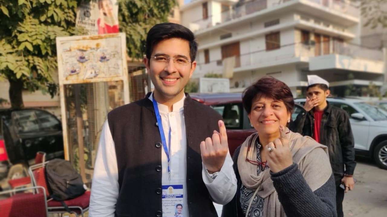 Delhi Assembly Election Results 2020: AAP's Raghav Chadha secures maiden  victory in Rajinder Nagar constituency
