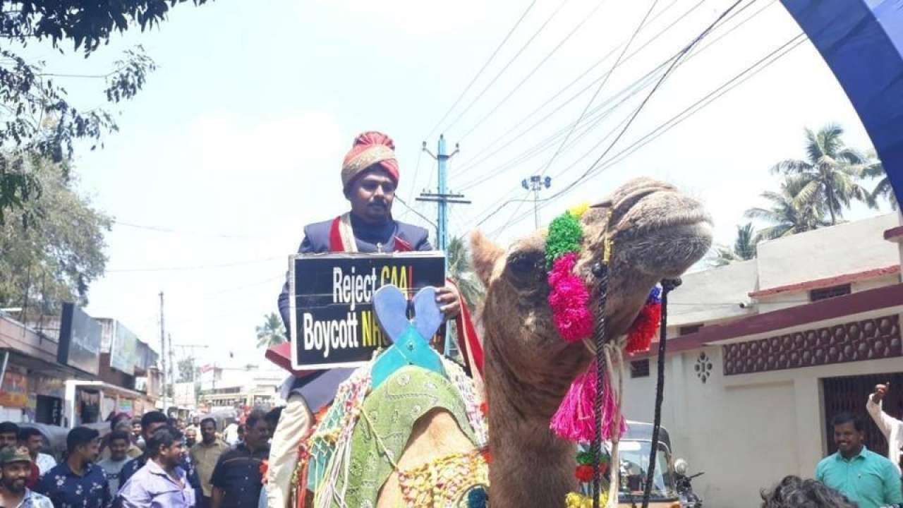 Kerala groom arrives on camel holding anti-CAA poster, gifts Constitution to bride as 'Meher' 