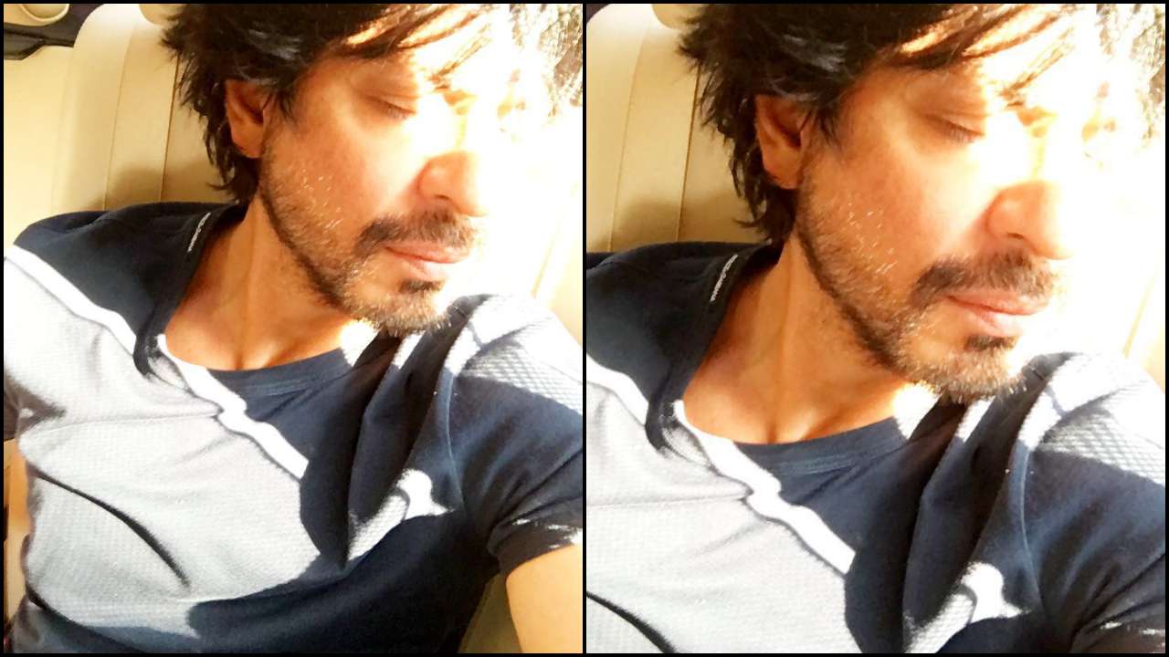 Sunkissed sleep of Shah Rukh Khan