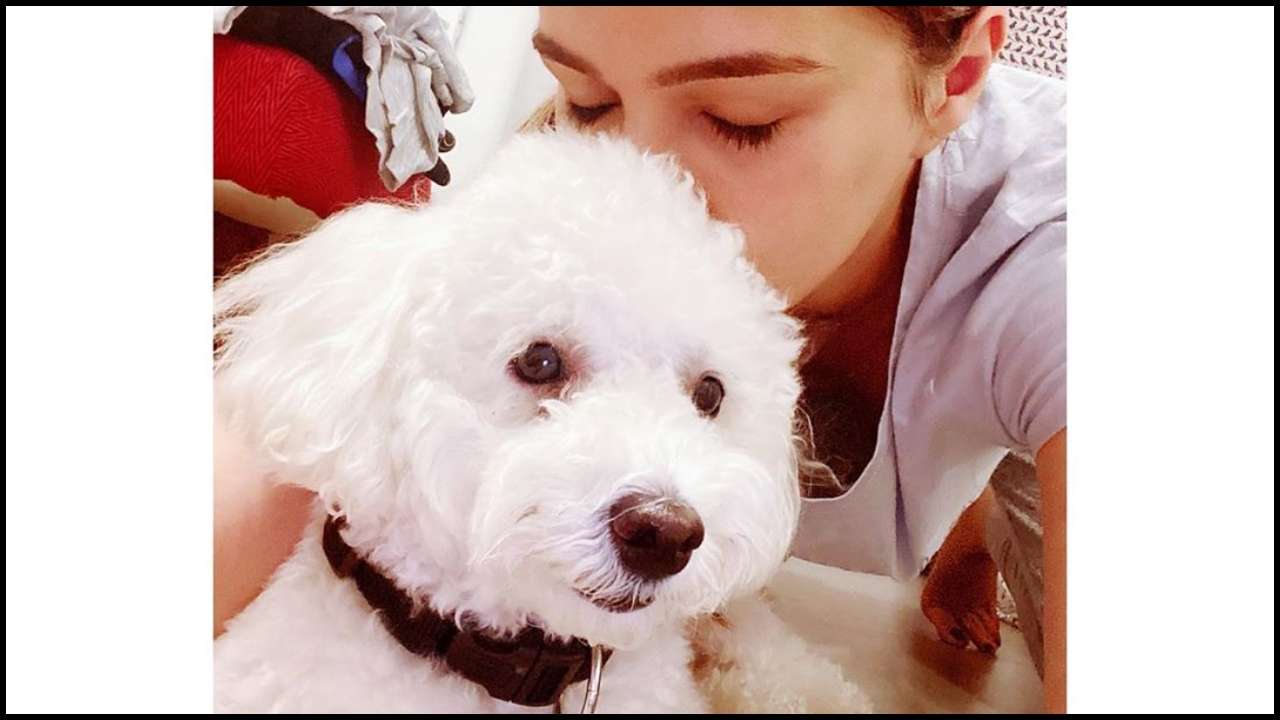 Kriti Sanon's pawsome moments