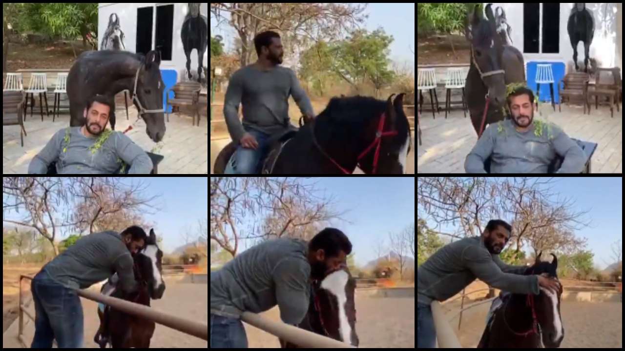 Călătoria lui Salman Khan: „Bigg Boss” concurente din toate inima Salman Khan's horseback ride: 'Bigg Boss' contestants all hearts