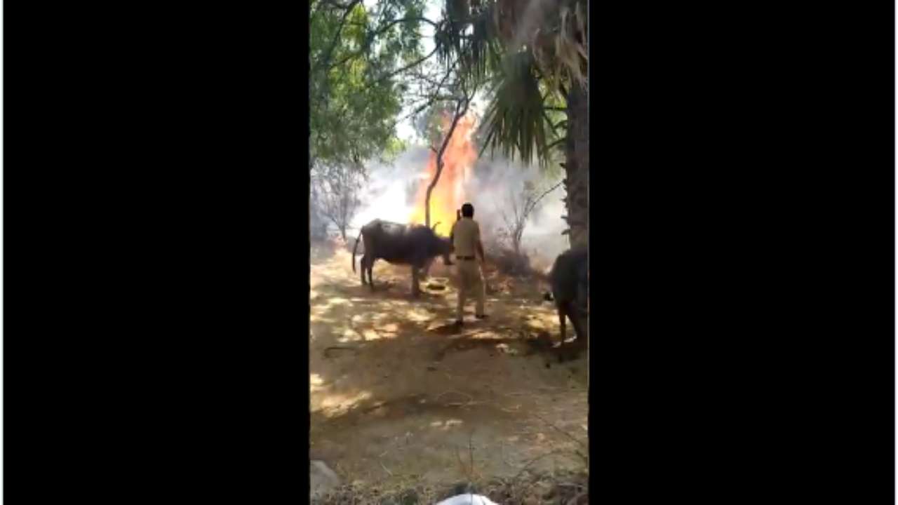 Telangana cops who saved cattle from fire hailed as 'real heroes'