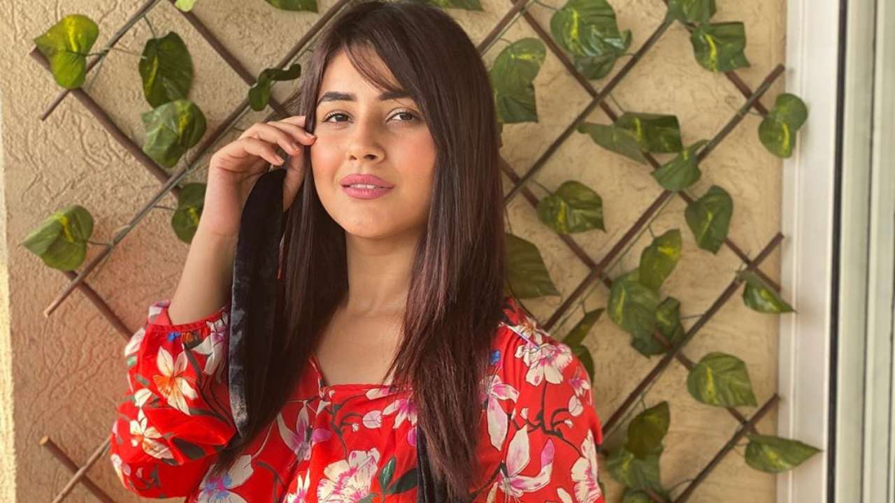 'Bigg Boss 13' contestant Shehnaaz Gill regrets being part of 'Mujhse Shaadi Karoge', calls Sidharth Shukla 'friend'