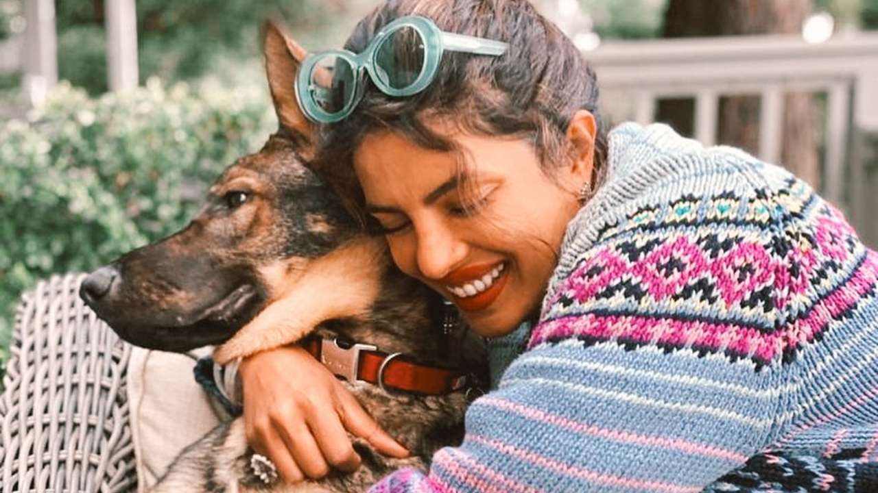 Priyanka Chopra shares cutest photo with pet dog, says 'Gino loves my cuddles'