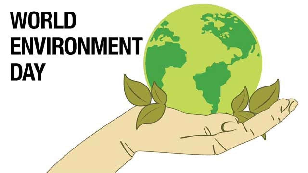 World Environment Day 2020 History Significance This Year S Theme