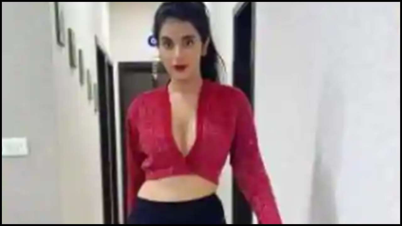 Sushmita Sen's sister-in-law Charu Asopa gives it back to troll
