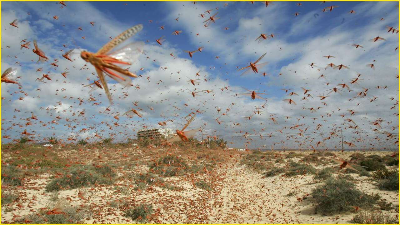Representational image