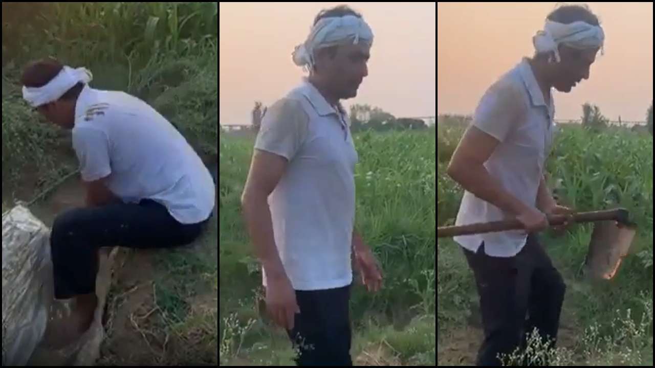 Video: Nawazuddin Siddiqui spends his day farming at hometown in UP Video: Nawazuddin Siddiqui spends his day farming at hometown in UP