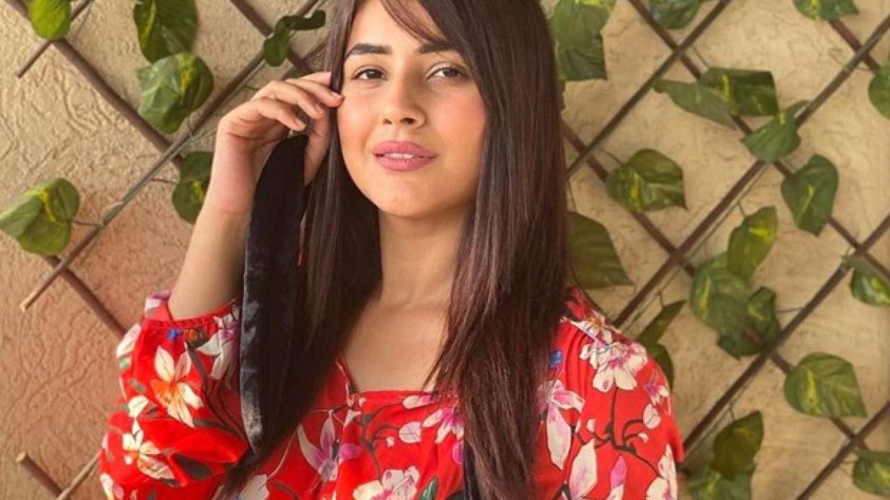 Shehnaaz Gill crosses 5 million Instagram followers; here's how she celebrated 