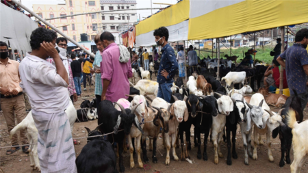 BBMP warns against slaughter in open