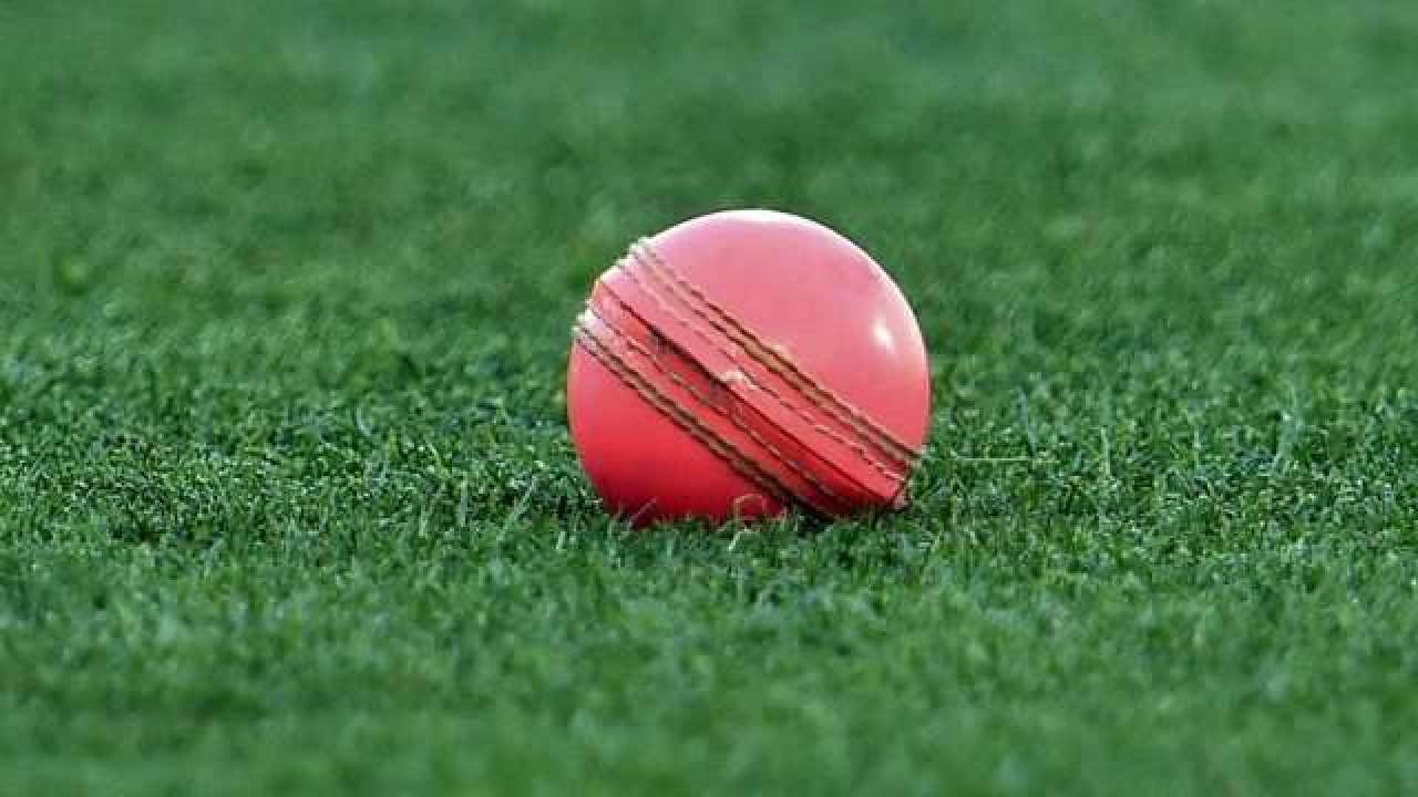 Simba Kings vs Buffalo Blaster, Simba Kings, Buffalo Blaster, Dream11, #Dream11, Cricket, SK vs BUB, SK v BUB, #SKvBUB, Tanzania