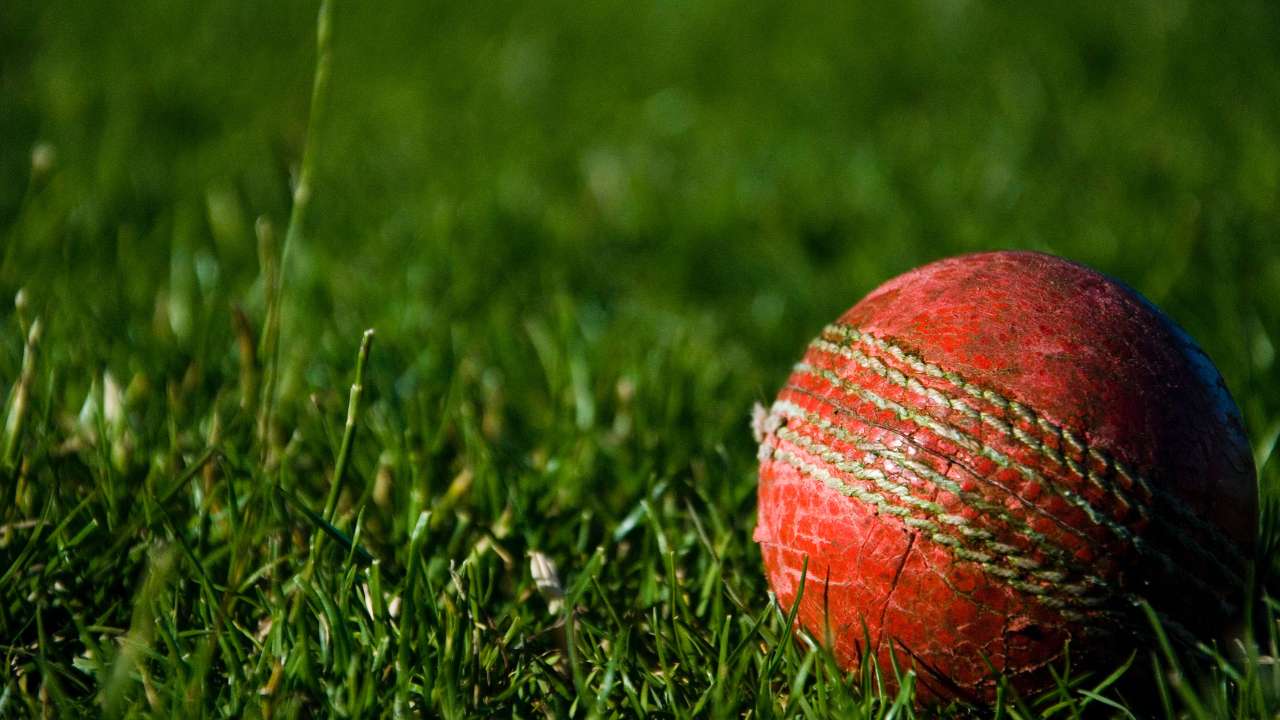 Southern Hitters vs Western Warriors, Southern Hitters, Western Warriors, Dream11, #Dream11, Cricket, SH vs WW, SH v WW, #SHvWW,