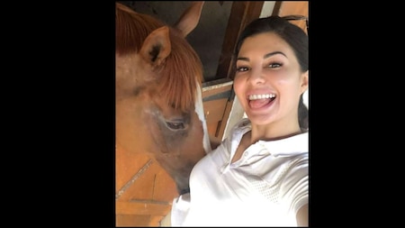 Jacqueline loves horses and these photos are proof!