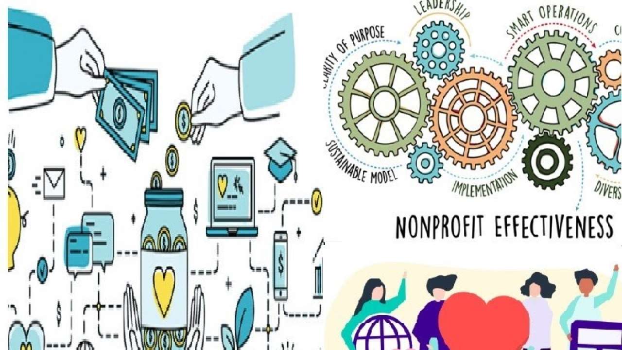 Websites are essential in order to promote and raise any organization’s reach and popularity. It enhances peer to peer referrals