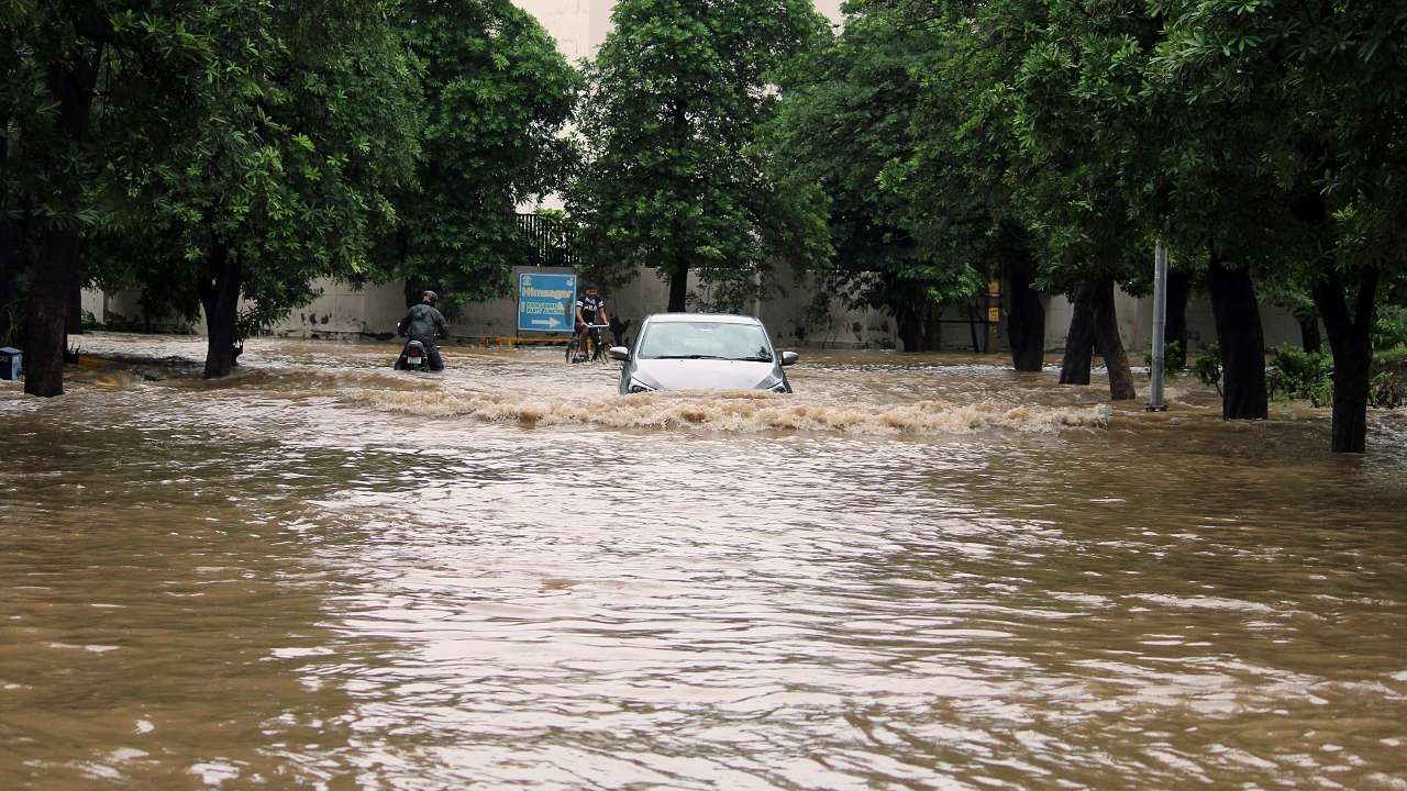 Haryana Rains