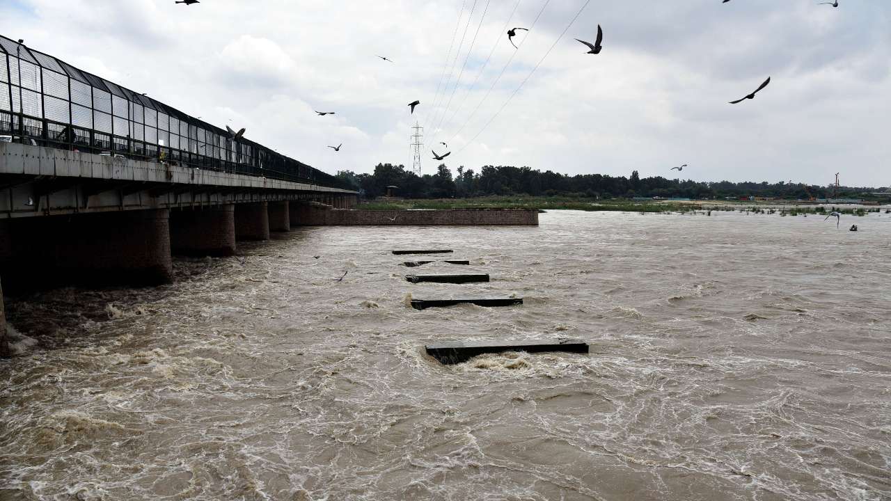 India, Ganga, Yamuna, flood, Prayagraj, Uttar Pradesh