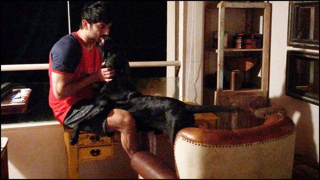 Viral Video: Sushant Singh Rajput's dog Fudge roams around his bike, hopes to see his friend