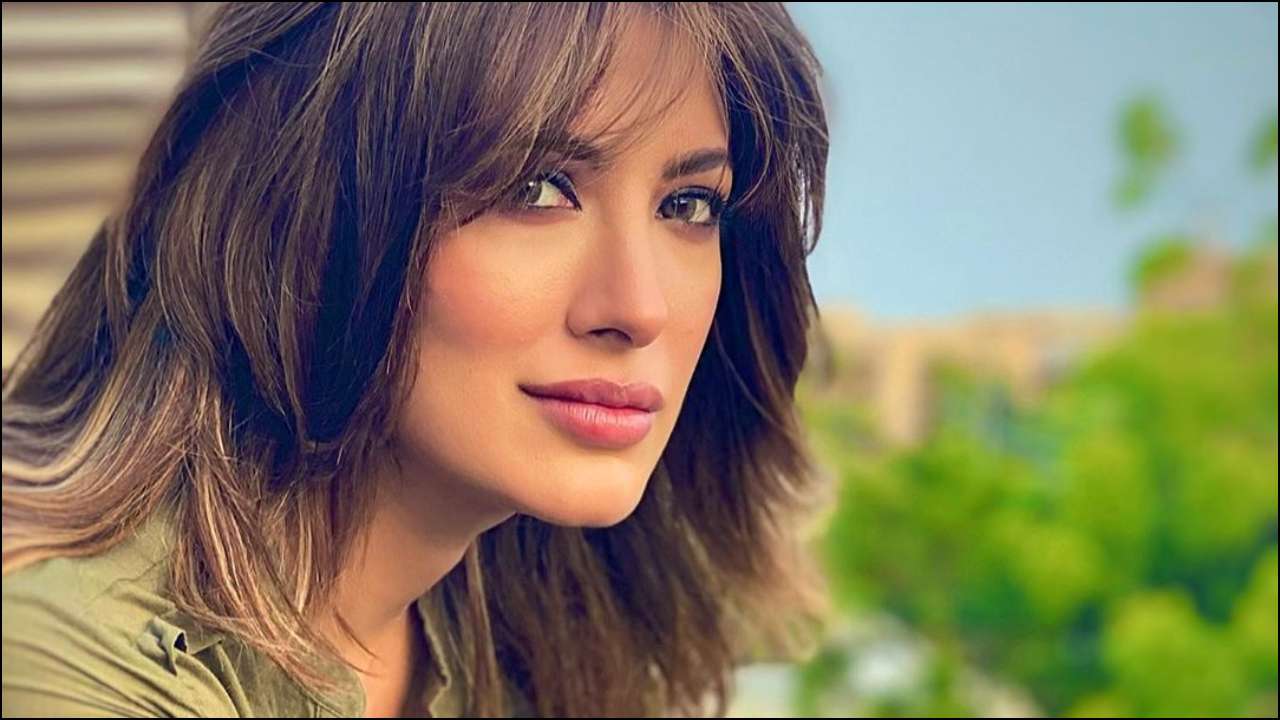 Mehwish Hayat, a product of nepotism