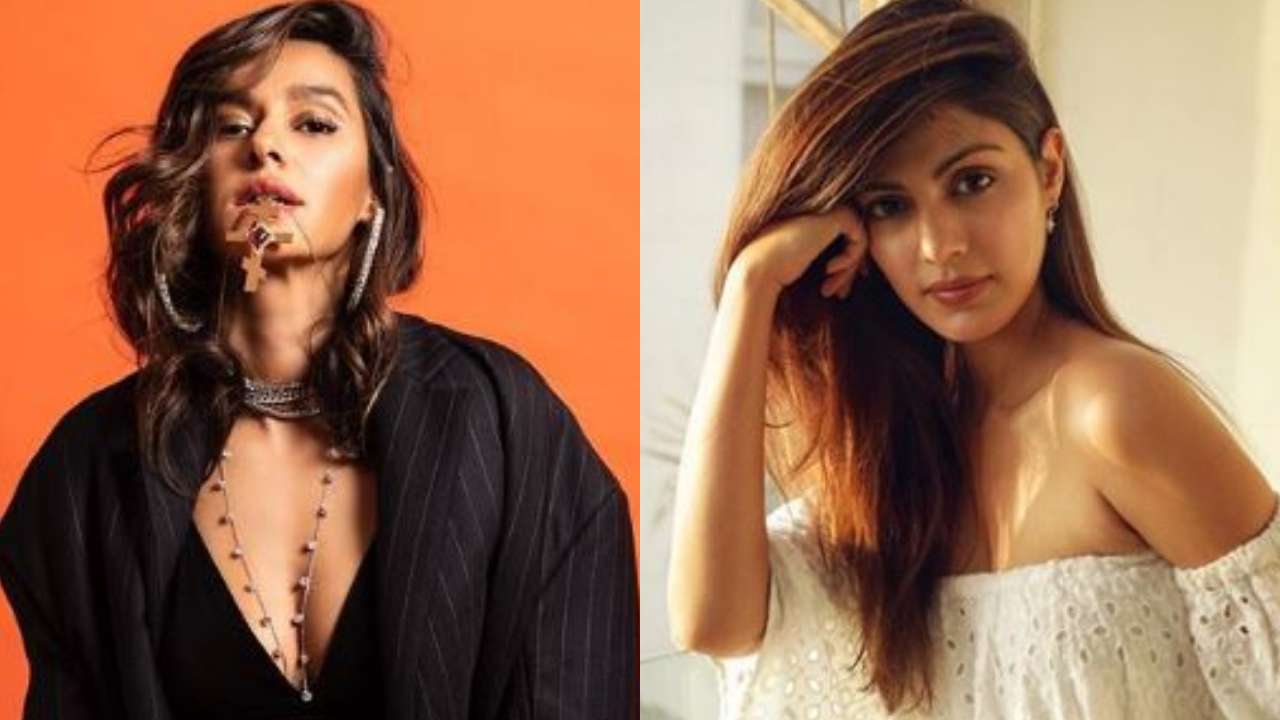 shibani rhea