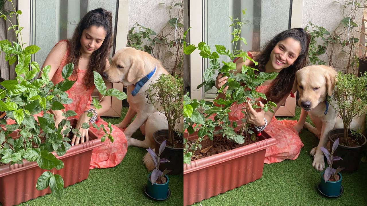 Ankita Lokhande plants for Sushant Singh Rajput