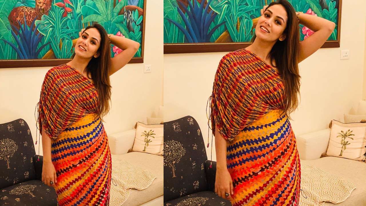 Mira Rajput S Birthday Saree Dress Costs Freshers Their Entire Salary