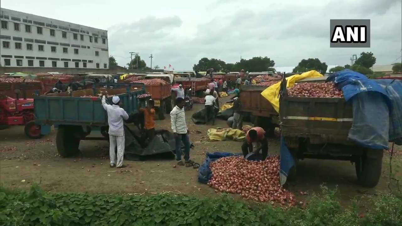 Onion export ban