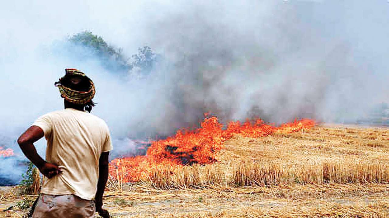 Javadekar Holds Meeting With States On Stubble Burning, Air Pollution ...