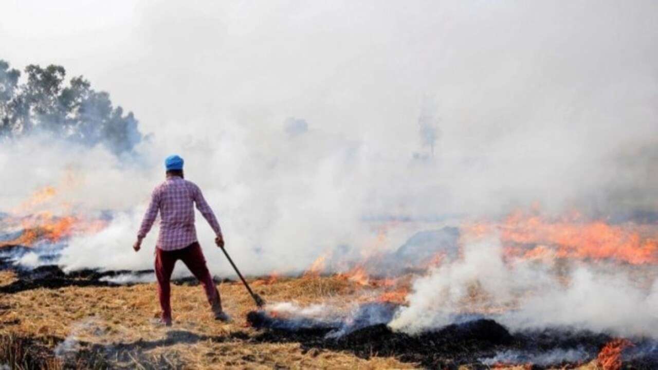 Air pollution control on government's top priority, preparations on in Delhi NCR hotspots before winter
