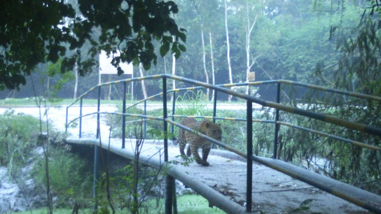 ANI photo