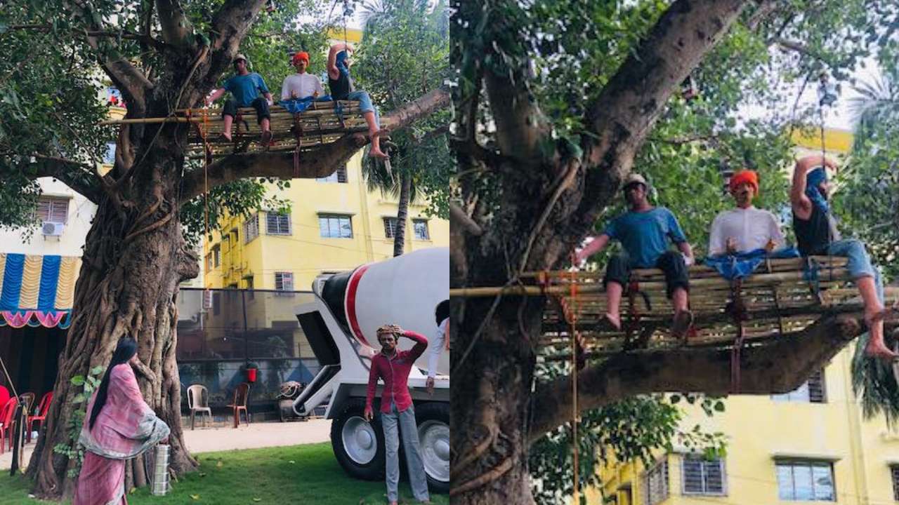 Quarantining atop a tree