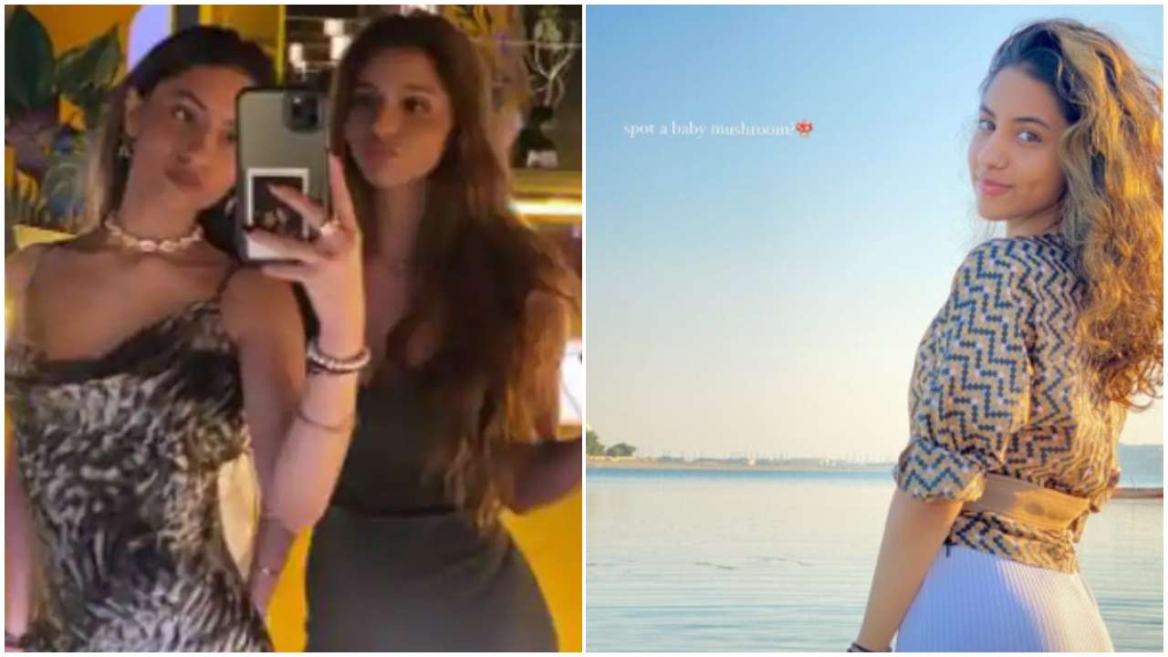 Suhana Khan's cousin Alia shares adorable pic of 'baby mushroom' AbRam Khan; can you spot him?