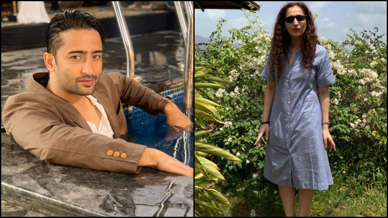 Has 'Yeh Rishtey Hain Pyaar Ke' actor Shaheer Sheikh FINALLY confirmed